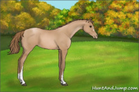 Horse Color:Black Pearl 