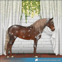 Horse Color:White Spotted Liver Chestnut 