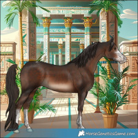 Horse Color:Liver Chestnut Sabino Tobiano 