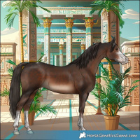 Horse Color:Liver Chestnut Sabino Tobiano