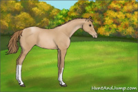 Horse Color:Black Pearl
