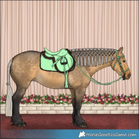 Horse Color:Silver Buckskin Dun 