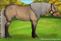 Horse Color:Silver Buckskin Dun 