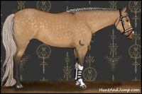 Horse Color:Silver Buckskin Dun 