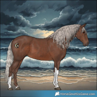 Horse Color:Silver Black Tobiano 