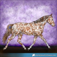 Horse Color:Chestnut Tobiano Snowflake Varnish