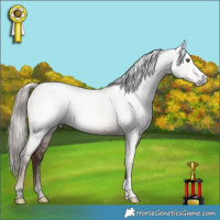 Horse Color:Gray Liver Chestnut Pearl 