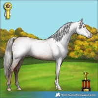 Horse Color:Gray Liver Chestnut Pearl 