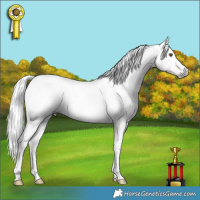 Horse Color:Gray Liver Chestnut Pearl 