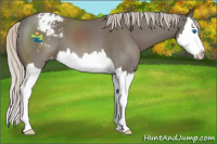 Horse Color:Silver Blue Roan Splash Varnish 