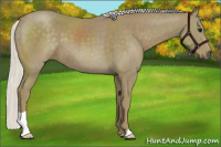 Horse Color:Silver Smoky Black 