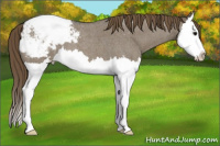 Horse Color:Smoky Grullo Roan Splash Snowcap 