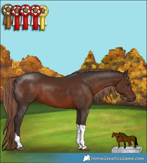 Horse Color:Liver Chestnut Tobiano 