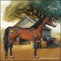 Horse Color:Bay Roan Splash 