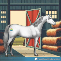 Horse Color:Gray Black 