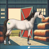 Horse Color:Bay Roan Dun 