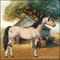 Horse Color:Bay Roan Dun 