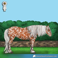 Horse Color:Silver Bay Tobiano Snowflake Varnish