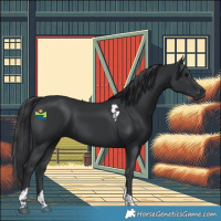 Horse Color:Black Tobiano 