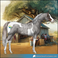 Horse Color:Liver Red Roan Splash Tobiano 