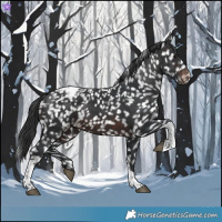 Horse Color:Brown Tobiano Snowcap 