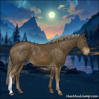 Horse Color:Chocolate Palomino 