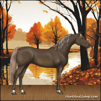 Horse Color:Chocolate Palomino 
