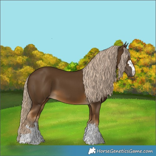 Horse Color:Chocolate Palomino 