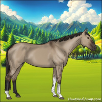 Horse Color:Liver Red Dun Tobiano