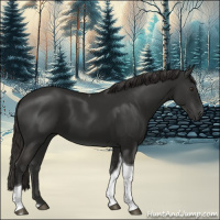 Horse Color:Liver Chestnut Tobiano