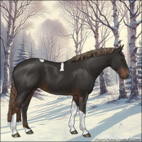 Horse Color:Liver Chestnut Tobiano 