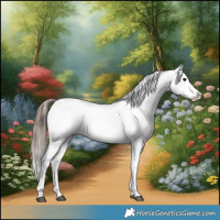 Horse Color:Bay Tobiano Appaloosa 