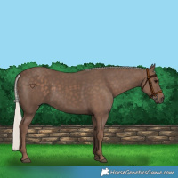 Horse Color:Silver Black 