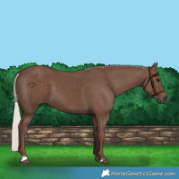 Horse Color:Silver Black 