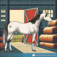 Horse Color:Buckskin Roan Dun Splash 