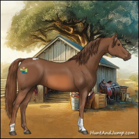 Horse Color:Chestnut Tobiano Rabicano 