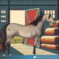 Horse Color:Brown Dun 