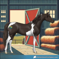 Horse Color:Liver Chestnut Tobiano 