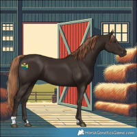 Horse Color:Liver Chestnut 
