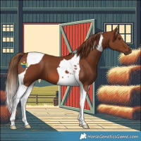 Horse Color:Chestnut Tobiano 