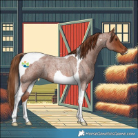 Horse Color:Red Roan Tobiano 