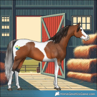 Horse Color:Bay Splash Tobiano Blanket 