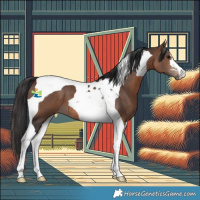 Horse Color:Brown Tobiano 