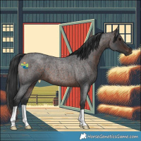 Horse Color:Brown Roan 