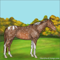 Horse Color:Chestnut Tobiano Snowflake Varnish