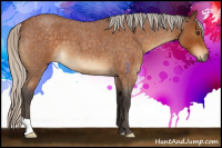 Horse Color:Silver Buckskin Roan 