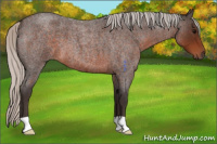 Horse Color:Silver Brown Roan 