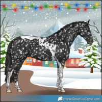 Horse Color:Liver Chestnut Tobiano Snowflake Varnish