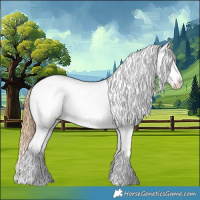 Horse Color:Chestnut Tobiano Appaloosa 