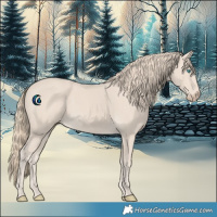 Horse Color:Smoky Creme 